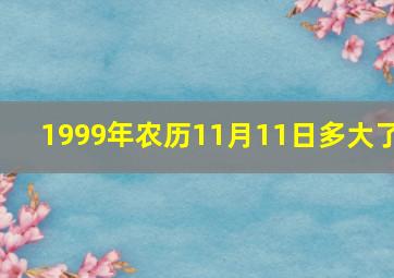 1999年农历11月11日多大了