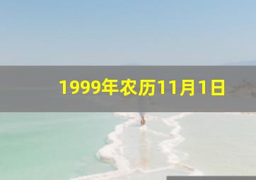 1999年农历11月1日