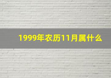 1999年农历11月属什么