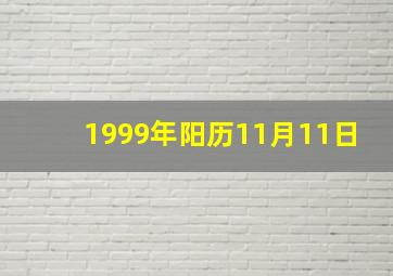 1999年阳历11月11日