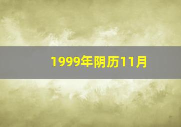 1999年阴历11月