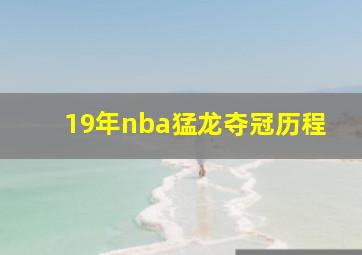 19年nba猛龙夺冠历程