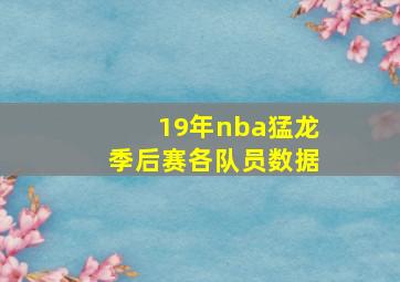 19年nba猛龙季后赛各队员数据