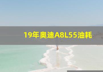 19年奥迪A8L55油耗