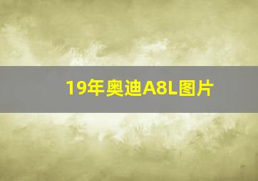 19年奥迪A8L图片