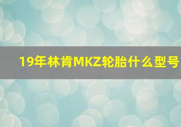 19年林肯MKZ轮胎什么型号