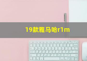 19款雅马哈r1m