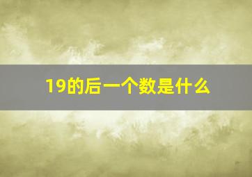 19的后一个数是什么