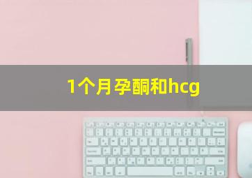 1个月孕酮和hcg