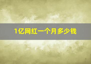 1亿网红一个月多少钱