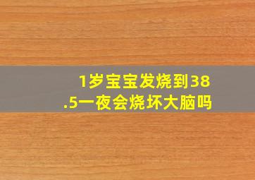 1岁宝宝发烧到38.5一夜会烧坏大脑吗