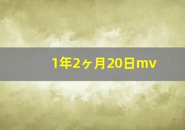 1年2ヶ月20日mv