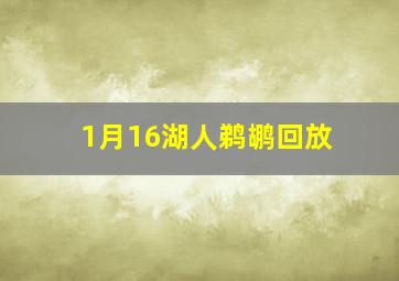 1月16湖人鹈鹕回放