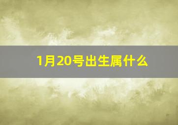 1月20号出生属什么