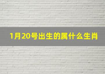 1月20号出生的属什么生肖