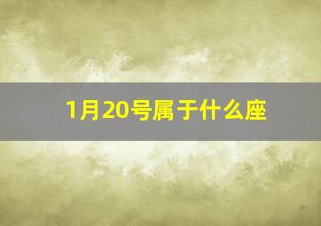 1月20号属于什么座