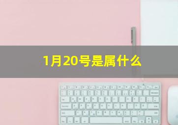 1月20号是属什么