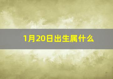 1月20日出生属什么