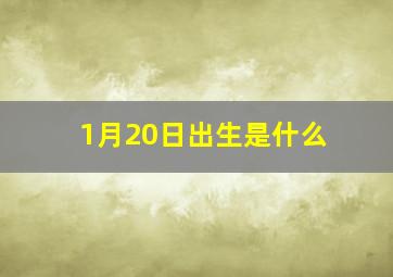 1月20日出生是什么