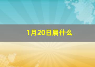 1月20日属什么