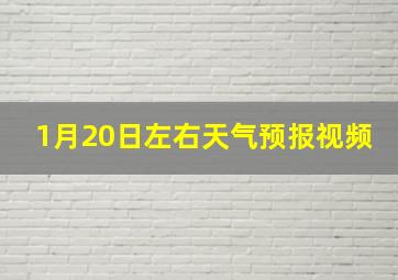 1月20日左右天气预报视频