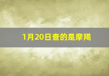 1月20日查的是摩羯