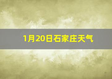 1月20日石家庄天气