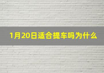 1月20日适合提车吗为什么