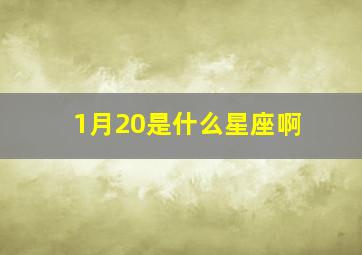 1月20是什么星座啊