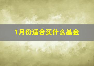 1月份适合买什么基金