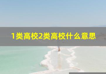 1类高校2类高校什么意思