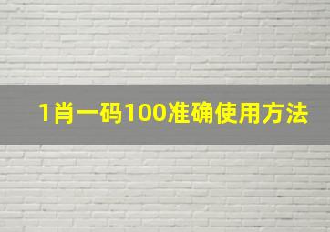 1肖一码100准确使用方法