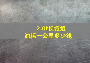 2.0t长城炮油耗一公里多少钱