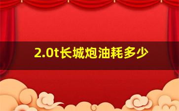 2.0t长城炮油耗多少