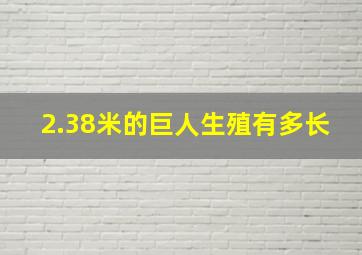 2.38米的巨人生殖有多长