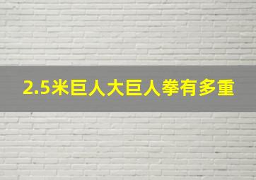 2.5米巨人大巨人拳有多重