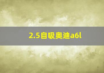 2.5自吸奥迪a6l