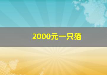 2000元一只猫