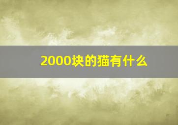 2000块的猫有什么