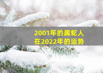 2001年的属蛇人在2022年的运势