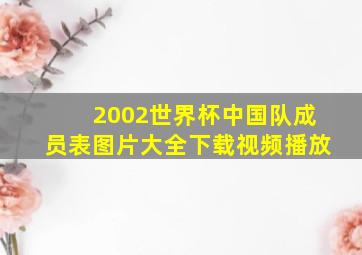 2002世界杯中国队成员表图片大全下载视频播放