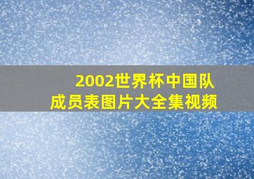 2002世界杯中国队成员表图片大全集视频