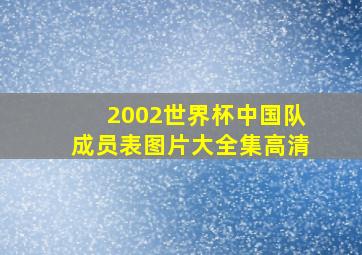 2002世界杯中国队成员表图片大全集高清