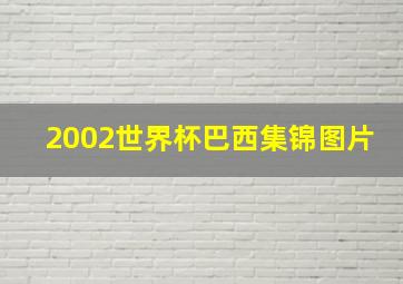 2002世界杯巴西集锦图片