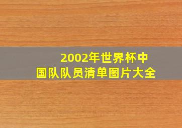 2002年世界杯中国队队员清单图片大全