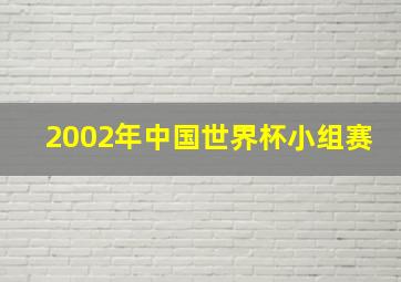 2002年中国世界杯小组赛