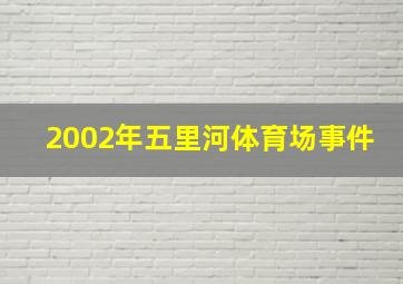 2002年五里河体育场事件