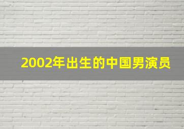 2002年出生的中国男演员