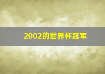 2002的世界杯冠军