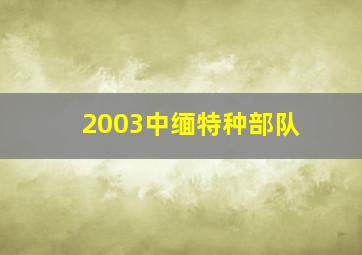 2003中缅特种部队